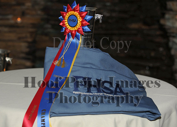 PHSA(1-17-15)0065