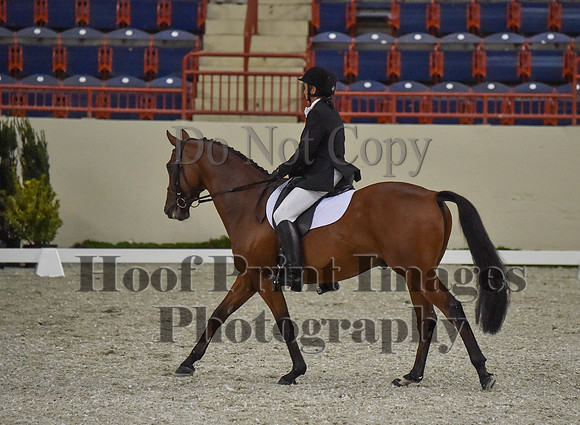 CWdressageI(8-20-16)0372
