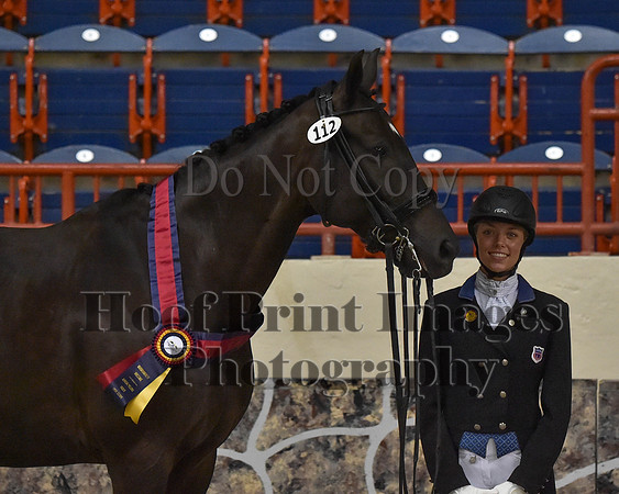CWdressageII(8-21-16)1417