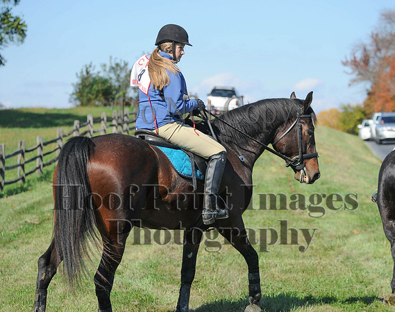 Cheshire(10-20-13)0201