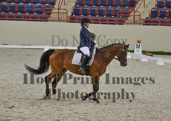 CWdressageI(8-20-16)0398