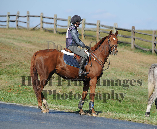 Cheshire(10-20-13)0302