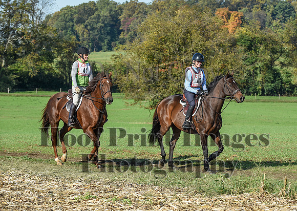 CheshirePC(10-18-20)0082