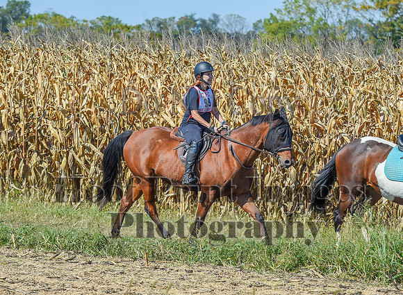 CheshirePonyClubPC(10-6-24)0608