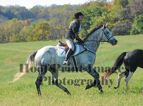 Cheshire(10-20-13)0693