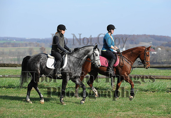 AndrewsBr(11-9-14)0058