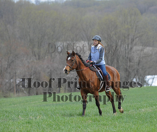 FairhillPC(4-18-14)0107