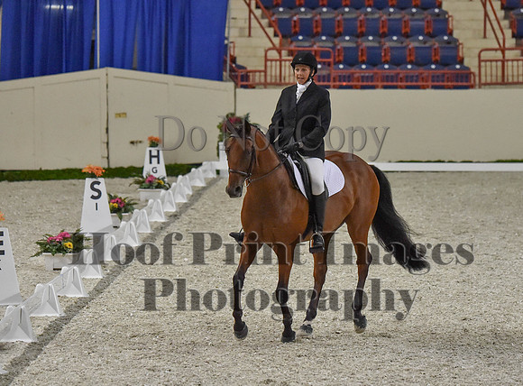 CWdressageI(8-20-16)0374
