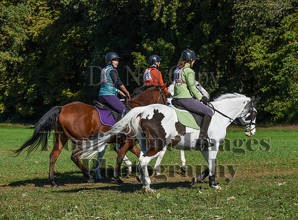 CheshirePC(10-18-20)0583