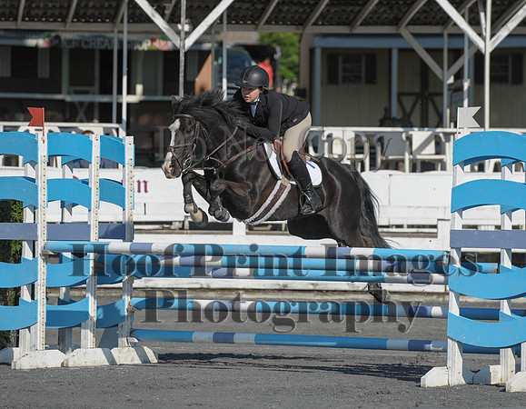 StCSu(5-12-13)PJmp0062