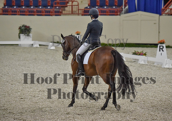 CWdressageI(8-20-16)0342