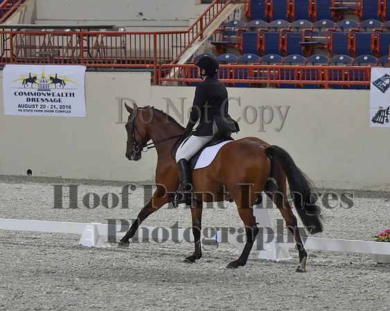 CWdressageII(8-21-16)1018