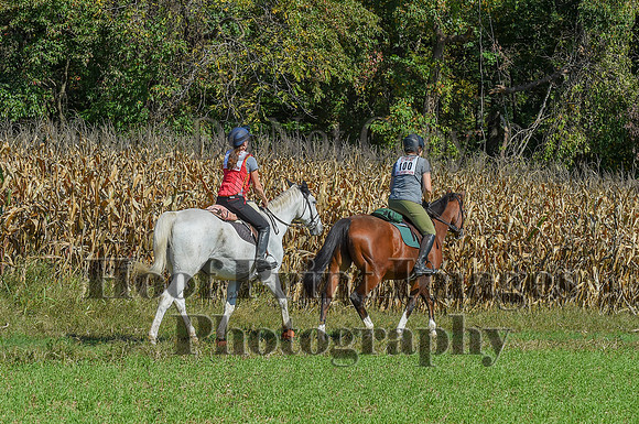 CheshirePonyClubPC(10-6-24)0410