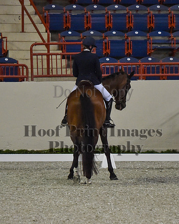 CWdressageII(8-21-16)0413