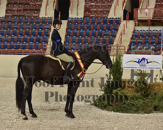HarrisburgHS(8-23-15)1151