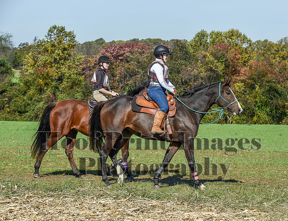 CheshirePC(10-18-20)0378