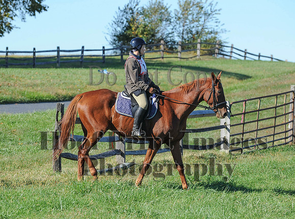 Cheshire(10-19-14)0357