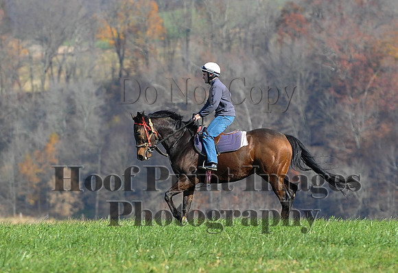 AndrewsBr(11-9-14)0093