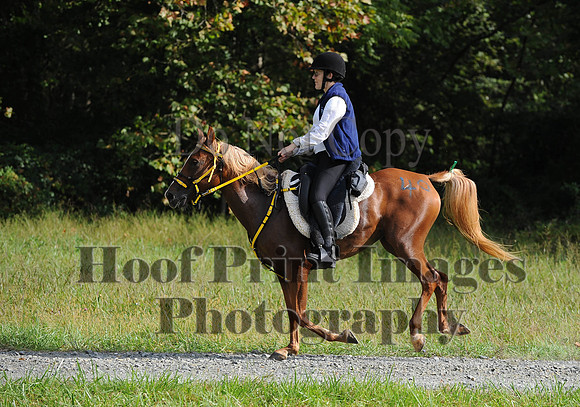 ChesapeakeCTR(9-20-14)0249