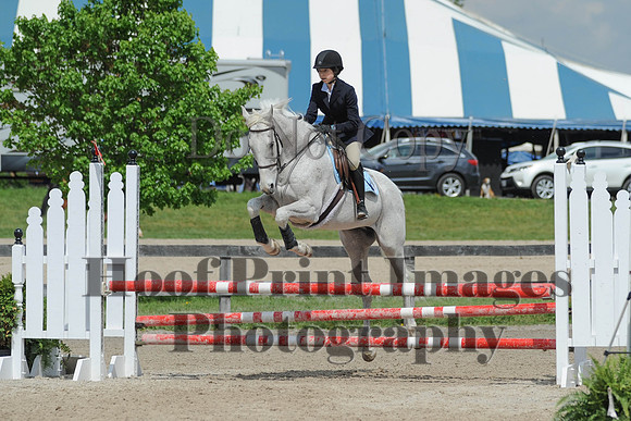 BRSa(5-17-14)0.8mJCl0046