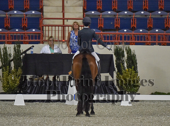 CWdressageI(8-20-16)0027
