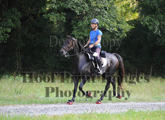 ChesapeakeCTR(9-20-14)0334