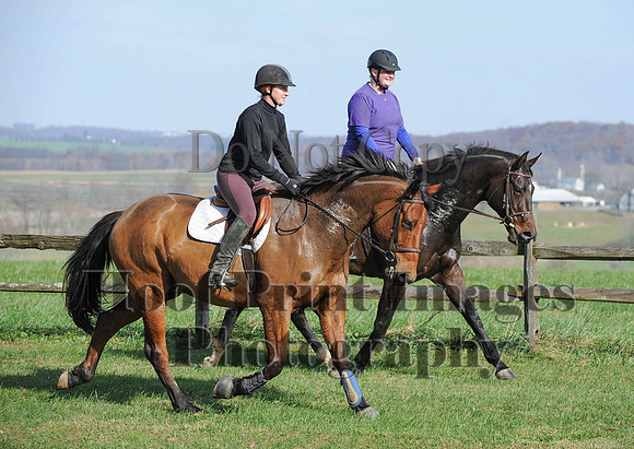 AndrewsBr(11-9-14)0126