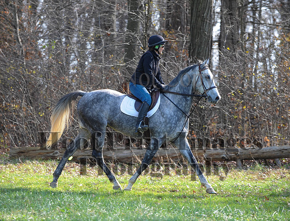 AndrewsBr(11-9-14)0291