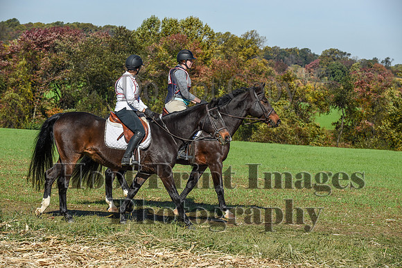 CheshirePC(10-18-20)0418