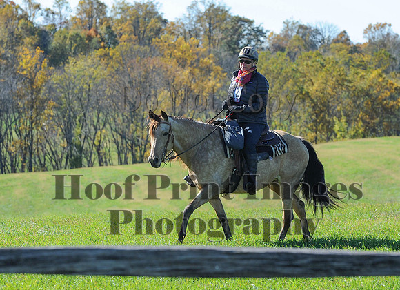 Cheshire(10-19-14)0232