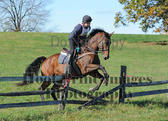 Cheshire(10-19-14)0176