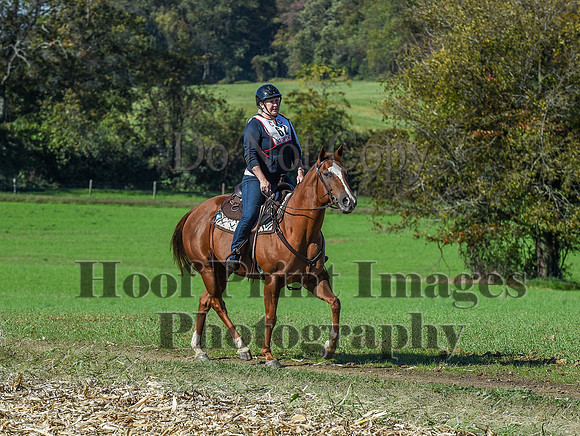 CheshirePC(10-18-20)0527