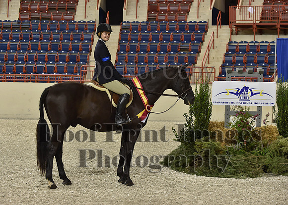 HarrisburgHS(8-23-15)1150
