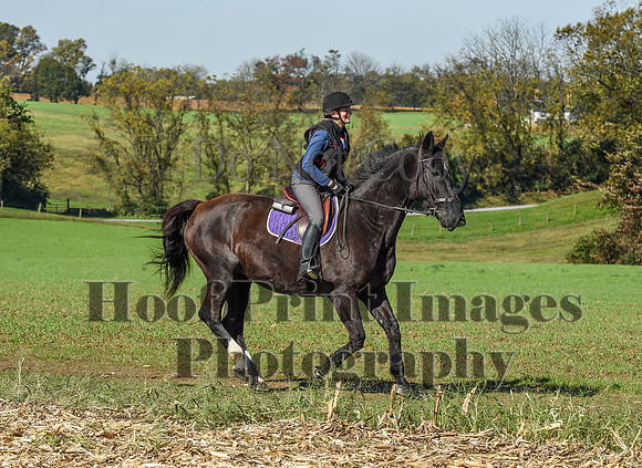 CheshirePC(10-18-20)0564