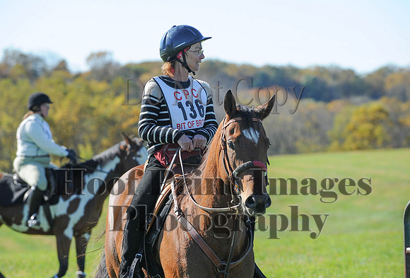 Cheshire(10-19-14)0290