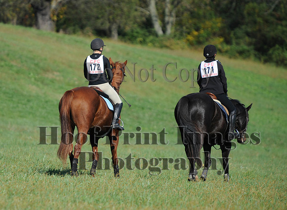 Cheshire(10-20-13)0649