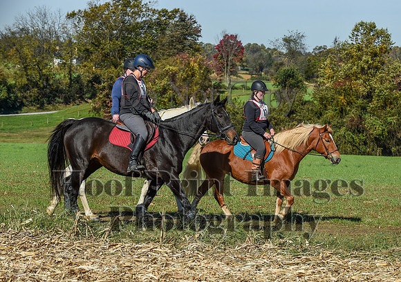 CheshirePC(10-18-20)0394