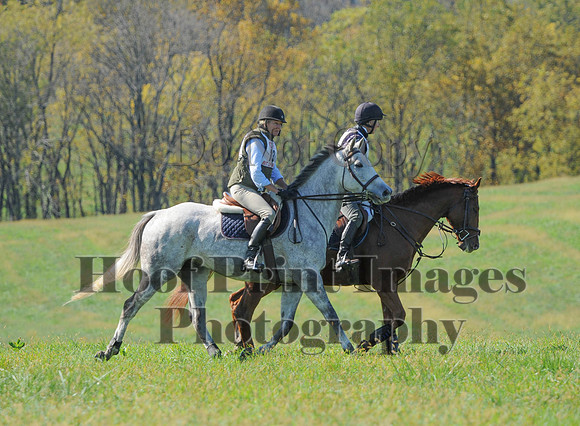 Cheshire(10-20-13)0285