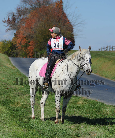Cheshire(10-20-13)0426