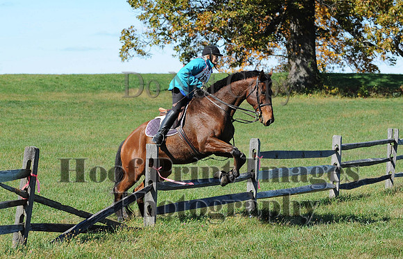 Cheshire(10-19-14)0105