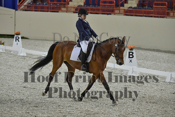 CWdressageI(8-20-16)0386