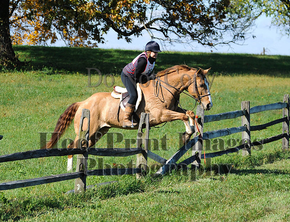 Cheshire(10-20-13)0428