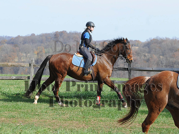 AndrewsBr(11-9-14)0221