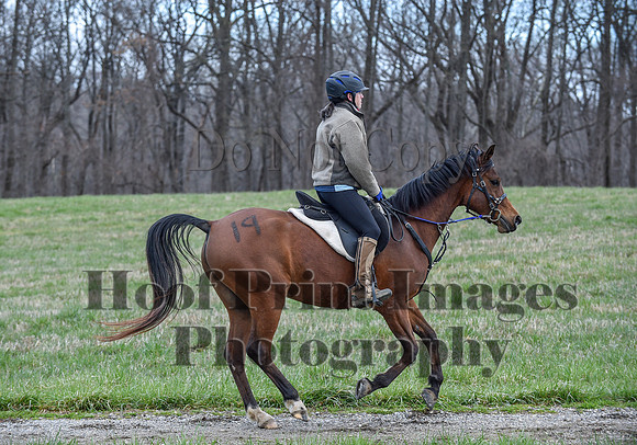 ChesapeakeSpring(4-10-22)0280
