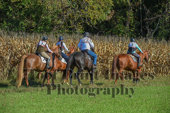 CheshirePonyClubPC(10-6-24)0092