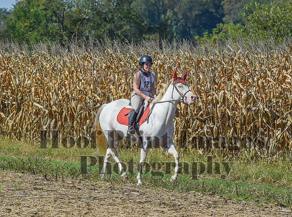 CheshirePonyClubPC(10-6-24)0518