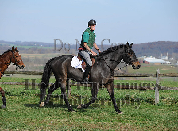 AndrewsBr(11-9-14)0295