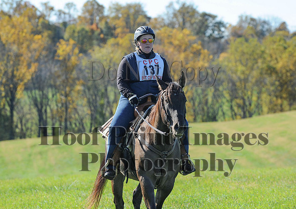 Cheshire(10-19-14)0292