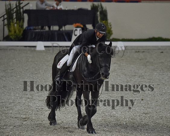 CWdressageII(8-21-16)0625