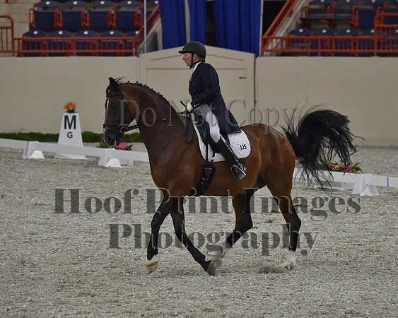 CWdressageII(8-21-16)0762